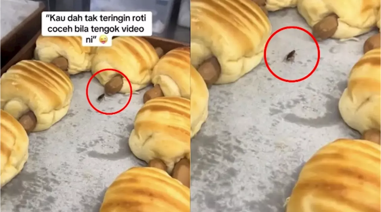 [Video] Tular Lipas Berkeliaran Dalam Ruangan Roti Di Kedai Bakeri, Netizen Luah Rasa Jijik