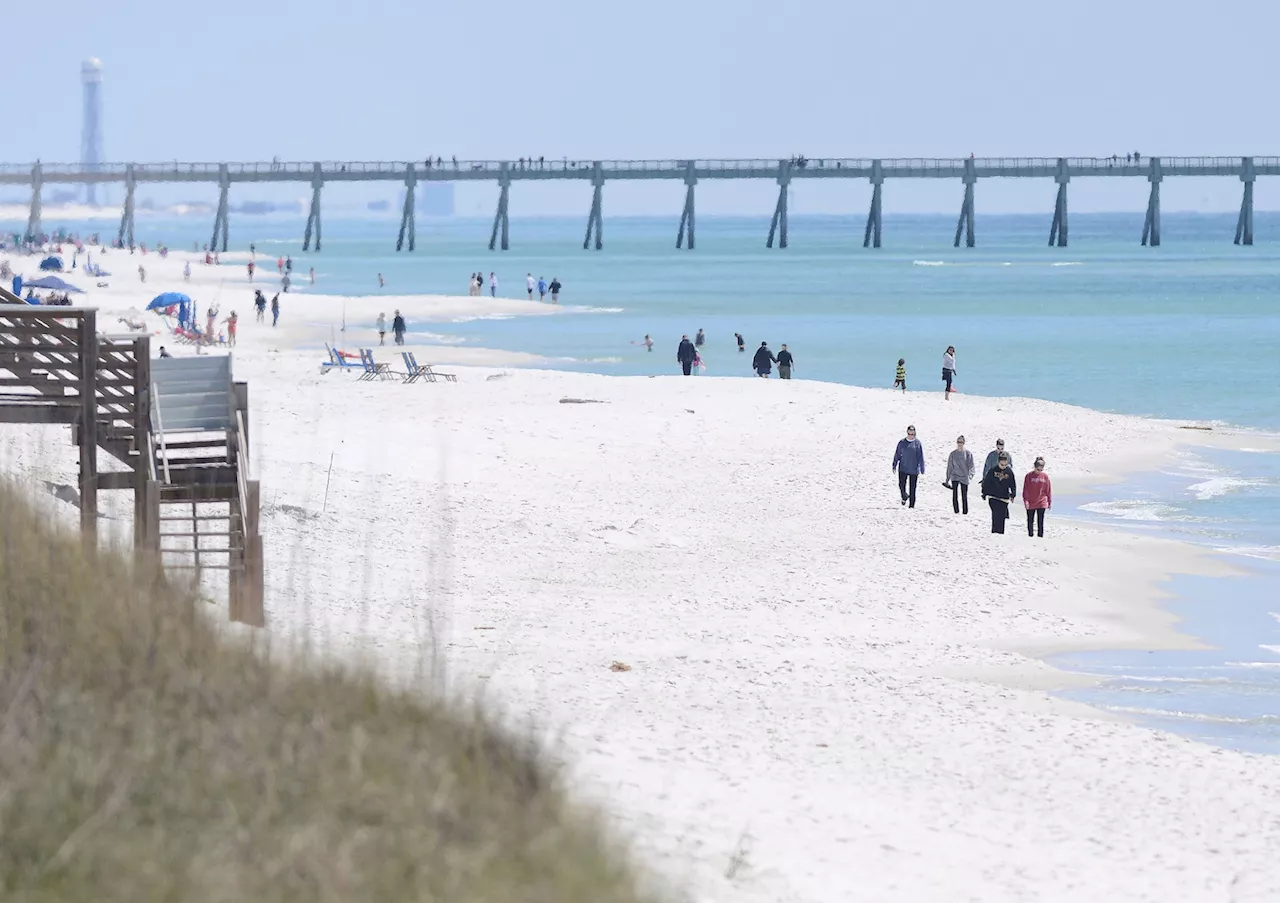 Shark bites injure 3 in Florida on the same day, in ‘exceedingly rare’ event