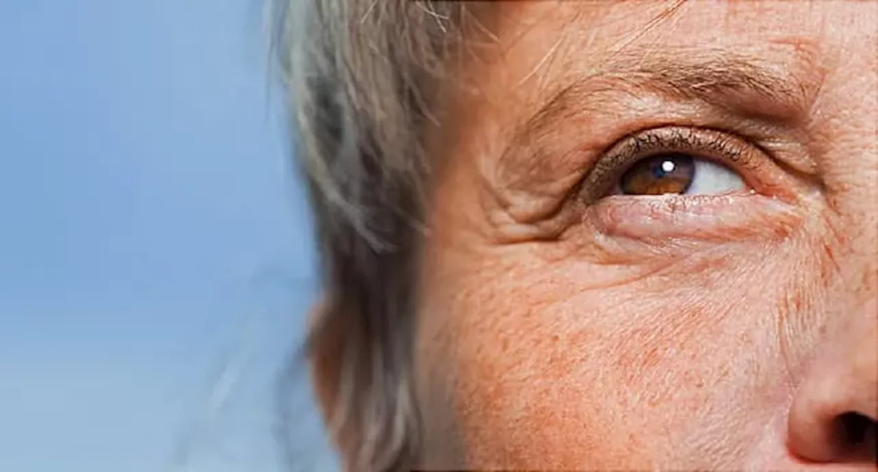 Keep Your Eyes Healthy With Macular Degeneration