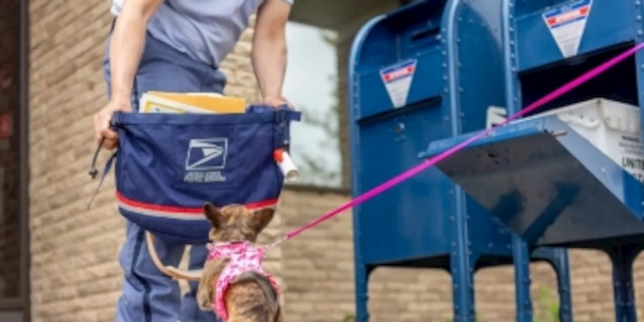 USPS says more than 5,800 letter carriers were bit by dogs in 2023