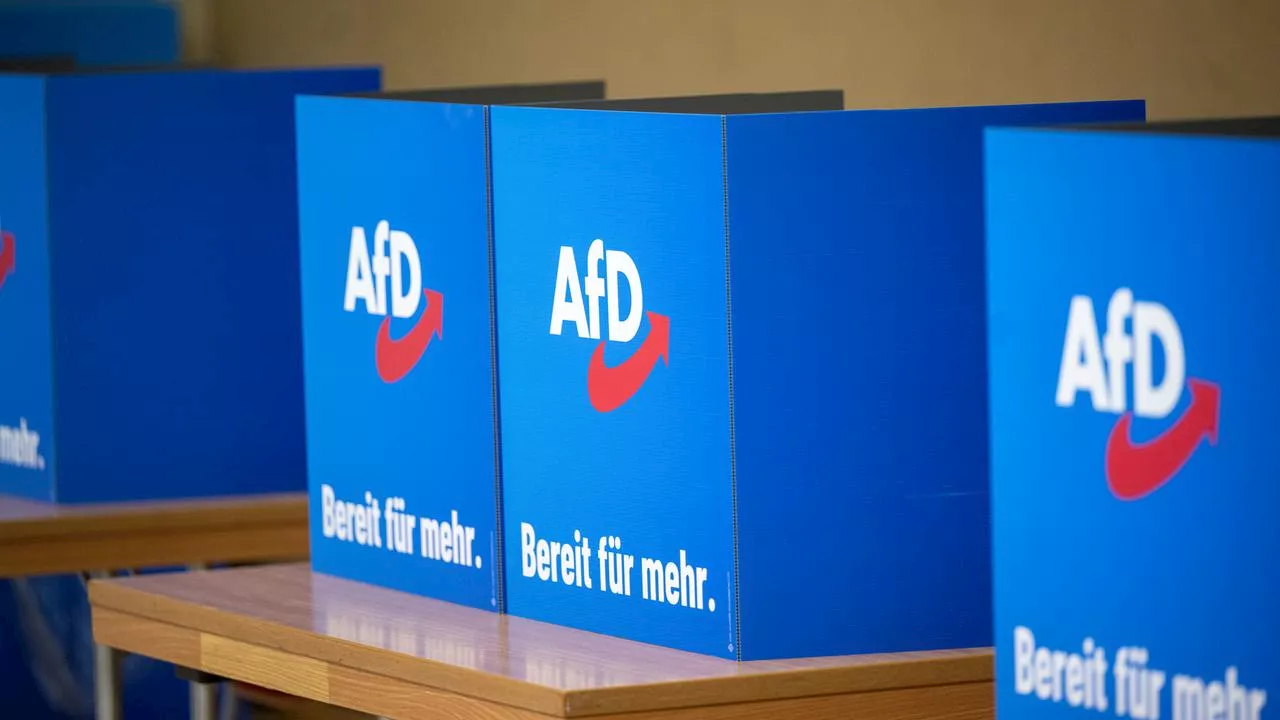 Warum die AfD bei der Europawahl bei den Jungen punktet