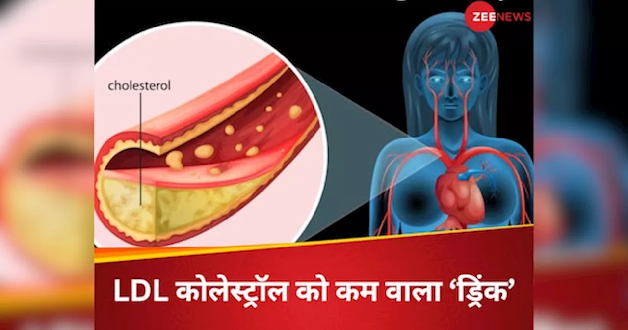 LDL Cholesterol: दिल को जाम करने वाले बेड कोलेस्ट्रॉल का रामबाण इलाज है ये ड्रिंक, पीने से साफ हो जाएगा धमनी में भरा गंदा फैट