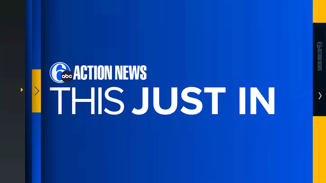 Stray cat tests positive for rabies in Voorhees, NJ