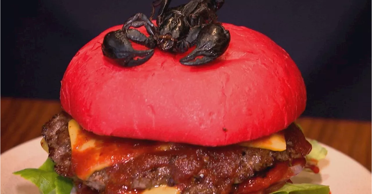 Australia's 'hottest burger' comes with a real scorpion and requires a waiver