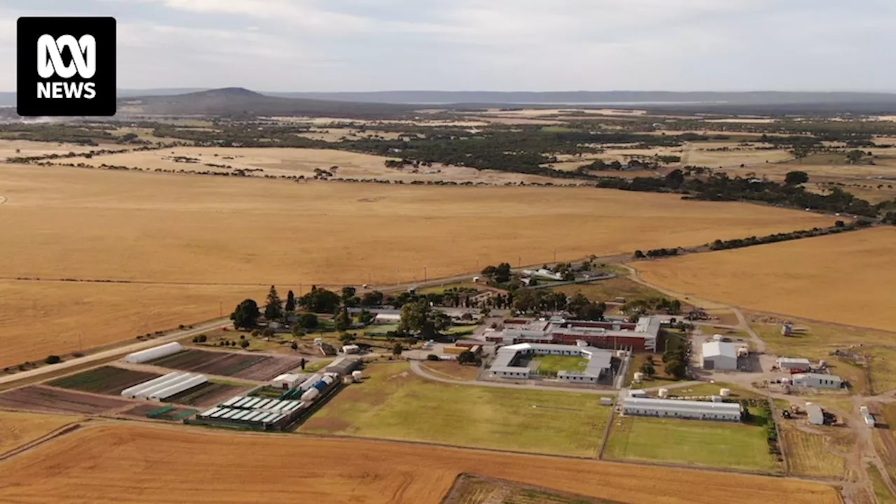 Death of 23-year-old man at Port Lincoln Prison on South Australia's Eyre Peninsula