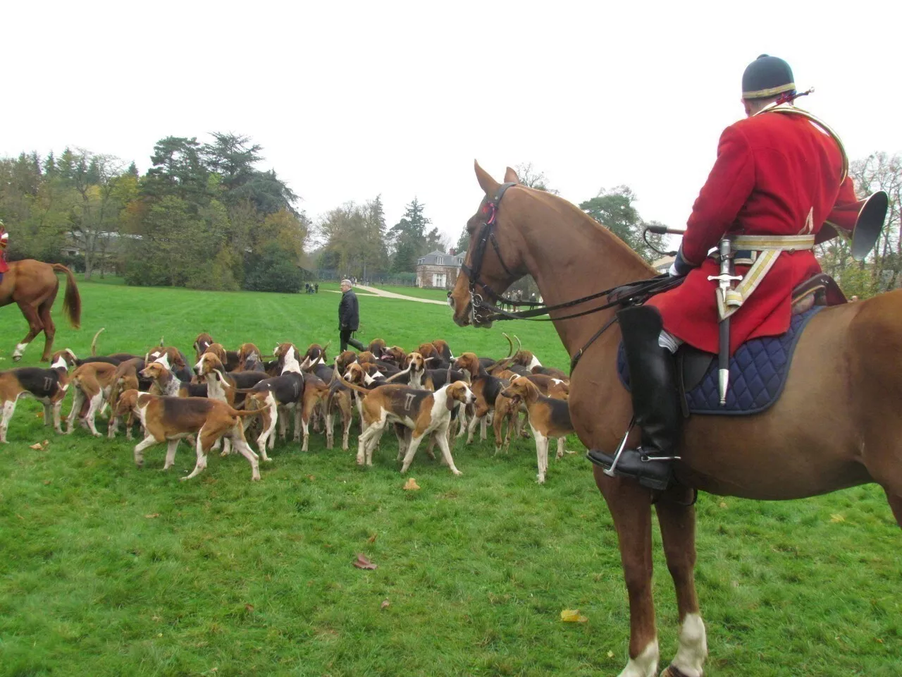 En Gironde, dans ce village de 220 habitants, 4000 visiteurs attendus au salon de la chasse