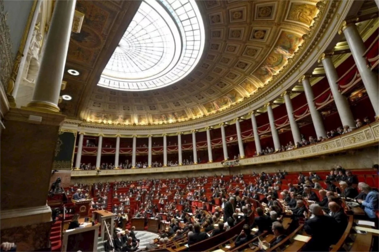 Législatives 2024 : les forces en présence dans les circonscriptions de La Roche-sur-Yon