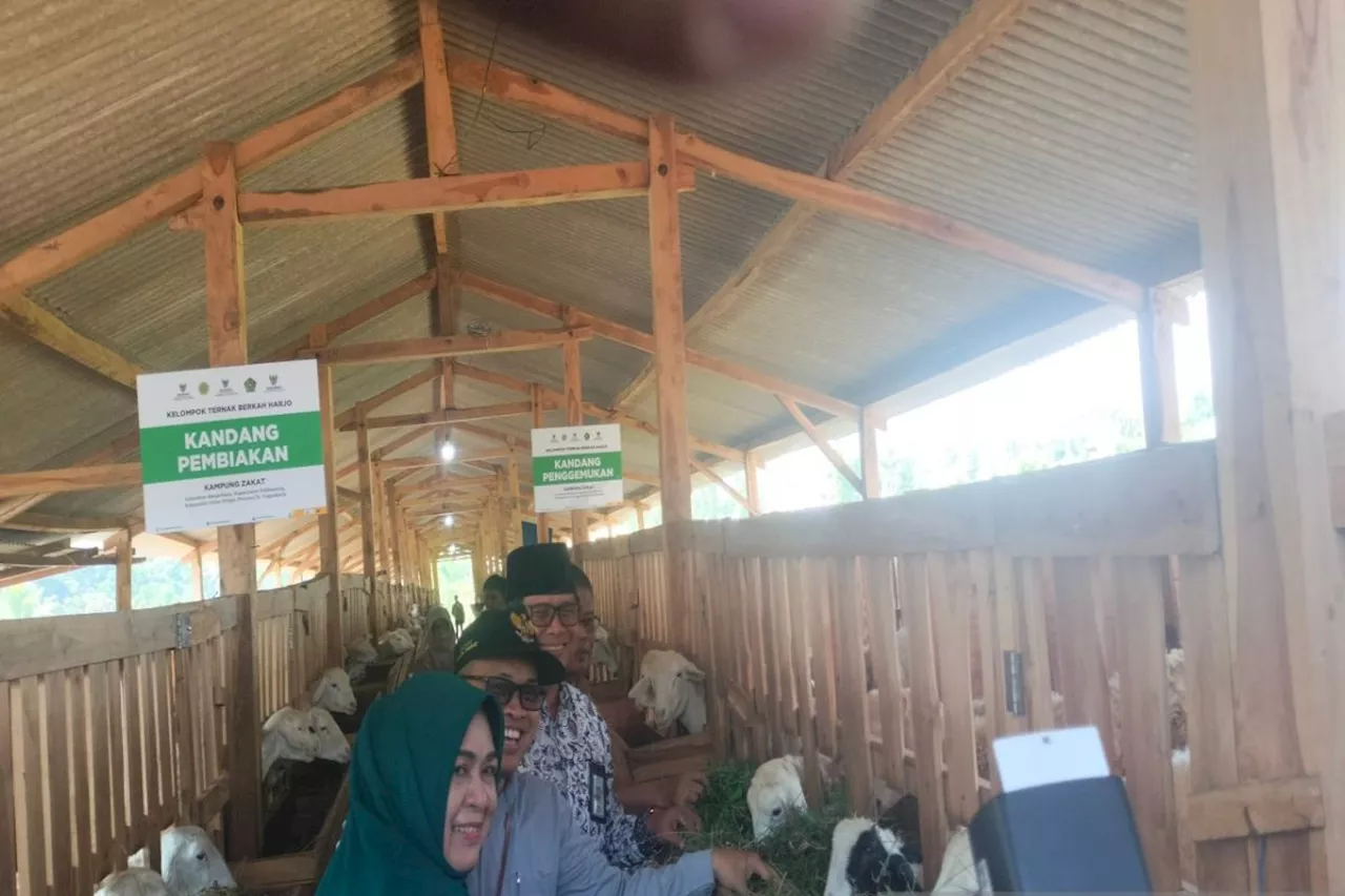 Baznas RI luncurkan Balai Ternak Berkah Harjo di Kulon Progo