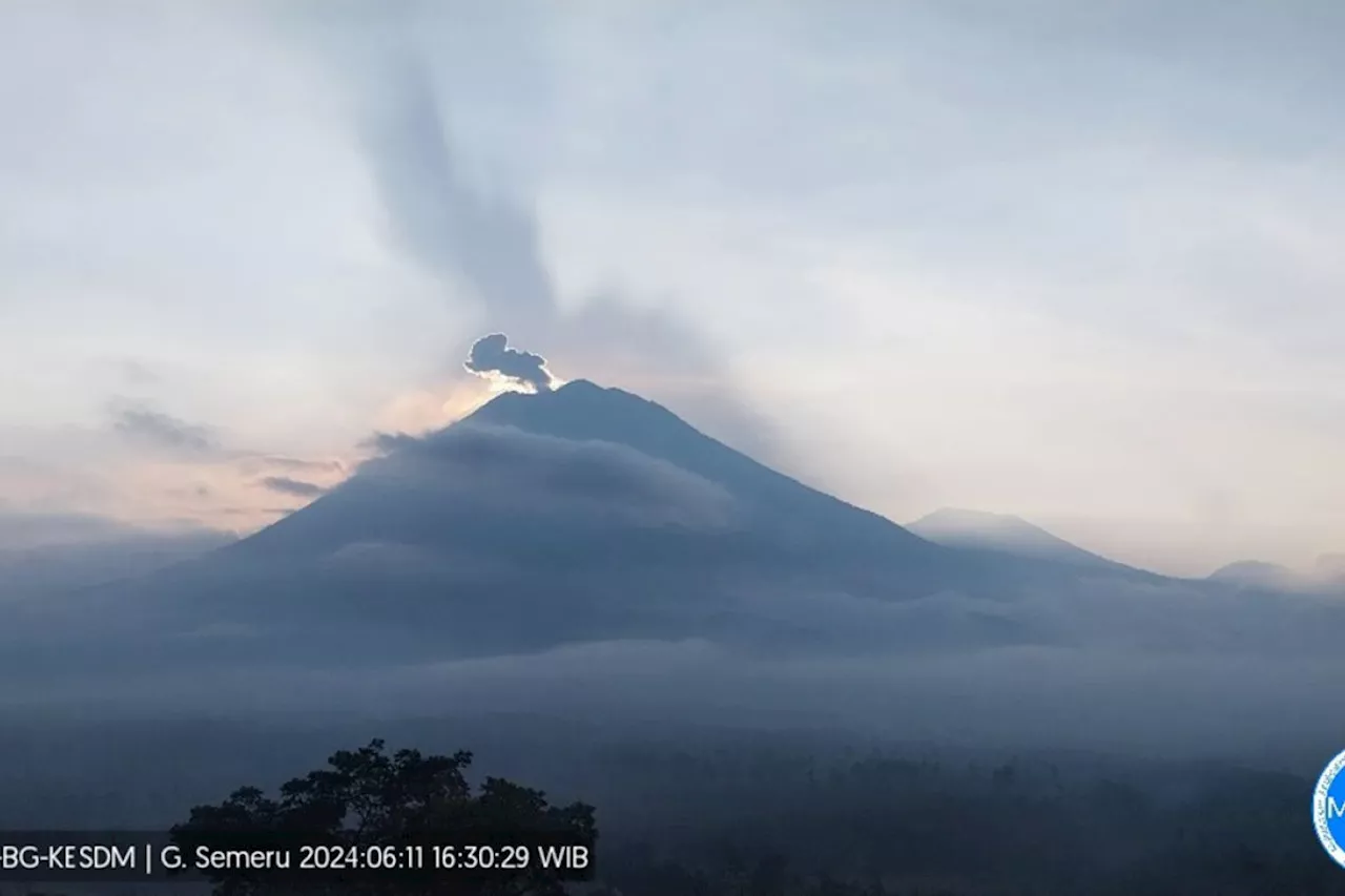 Petugas catat Gunung Semeru erupsi terus menerus sebanyak 20 kali