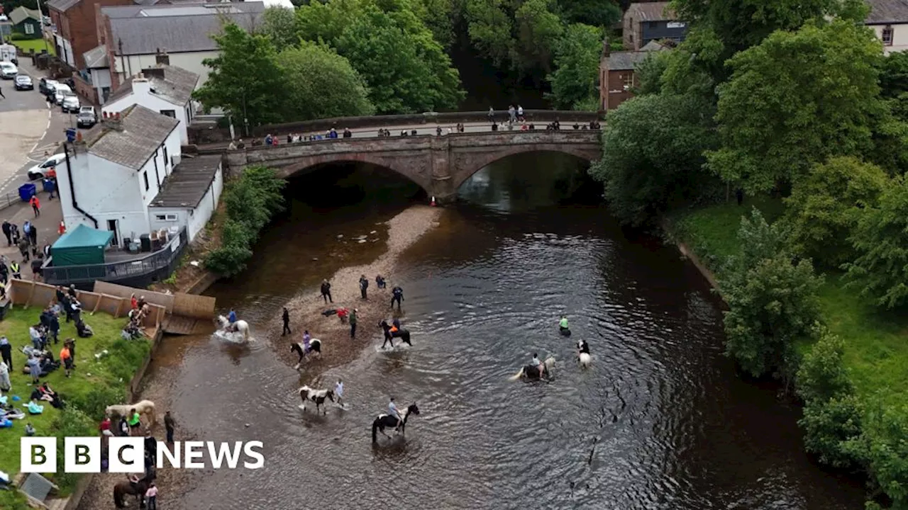 Appleby Horse Fair: Second horse dies of exhaustion