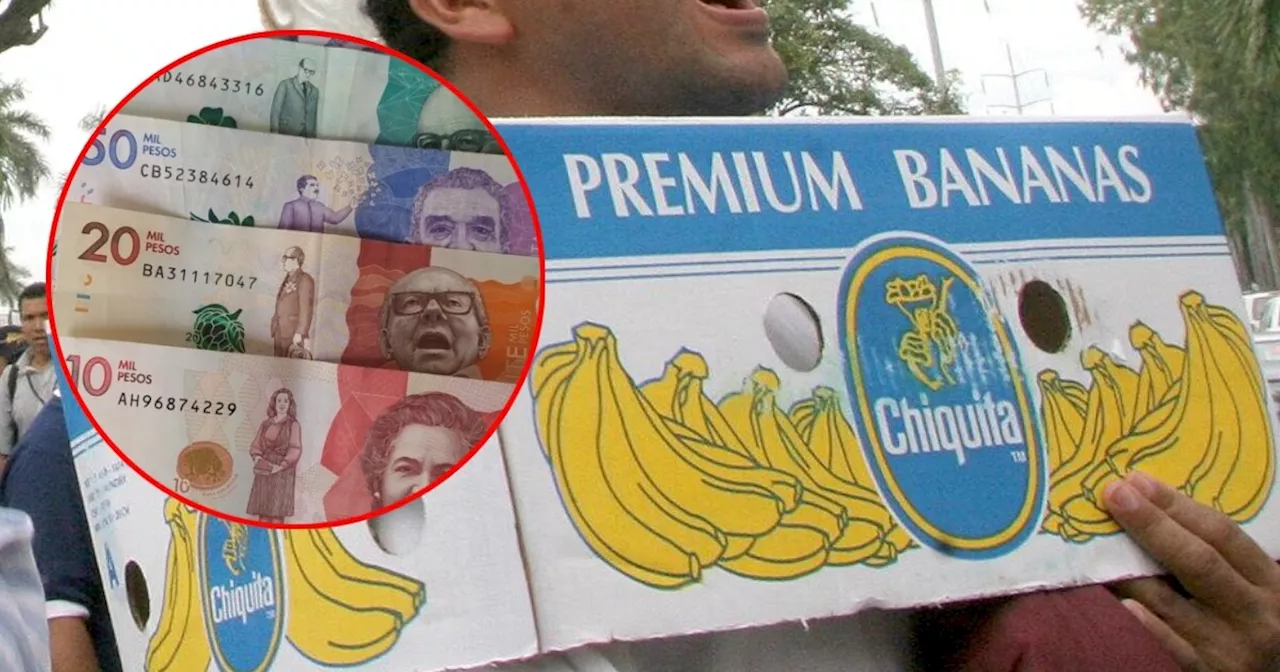 Así acordó Chiquita Brands los pagos a los paramilitares en Urabá, según Forjando Futuros