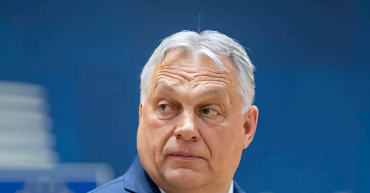 Orbán: Western War Hawks Only Want to Exploit Ukraine’s Natural Resources