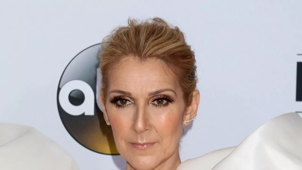 'Sie haben schon einen Elternteil verloren': Die kranke Céline Dion kämpft für ihre Kinder