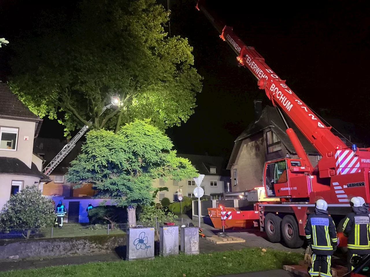 Fünf sturmbedingte Einsätze für die Feuerwehr Bochum