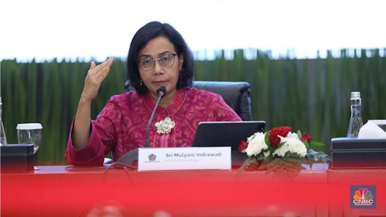 Curhat Senator ke Sri Mulyani: Tiket Pesawat Mahal, Warga Jadi Rugi