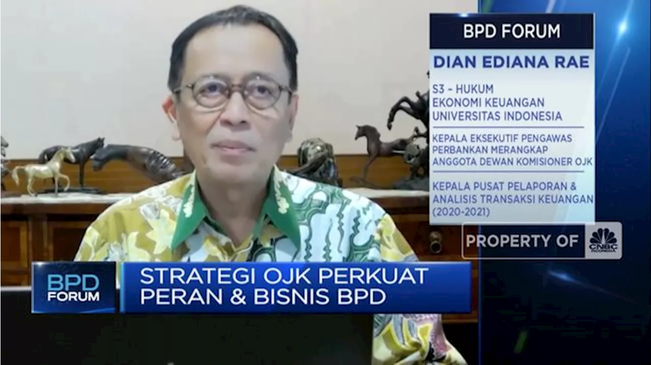 Makin Baik, OJK Sebut Kinerja BPD Semakin Solid