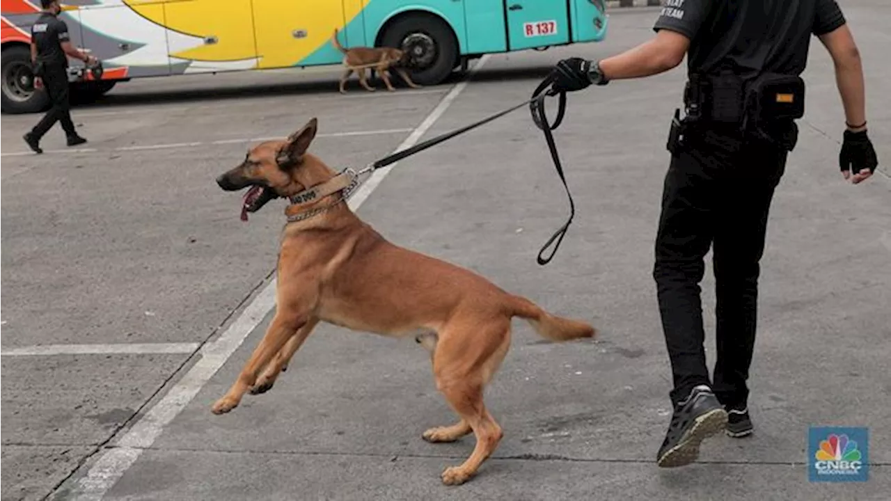 Top! RI Punya Sentra Pelatihan Anjing K9 Se-Asia Pasifik