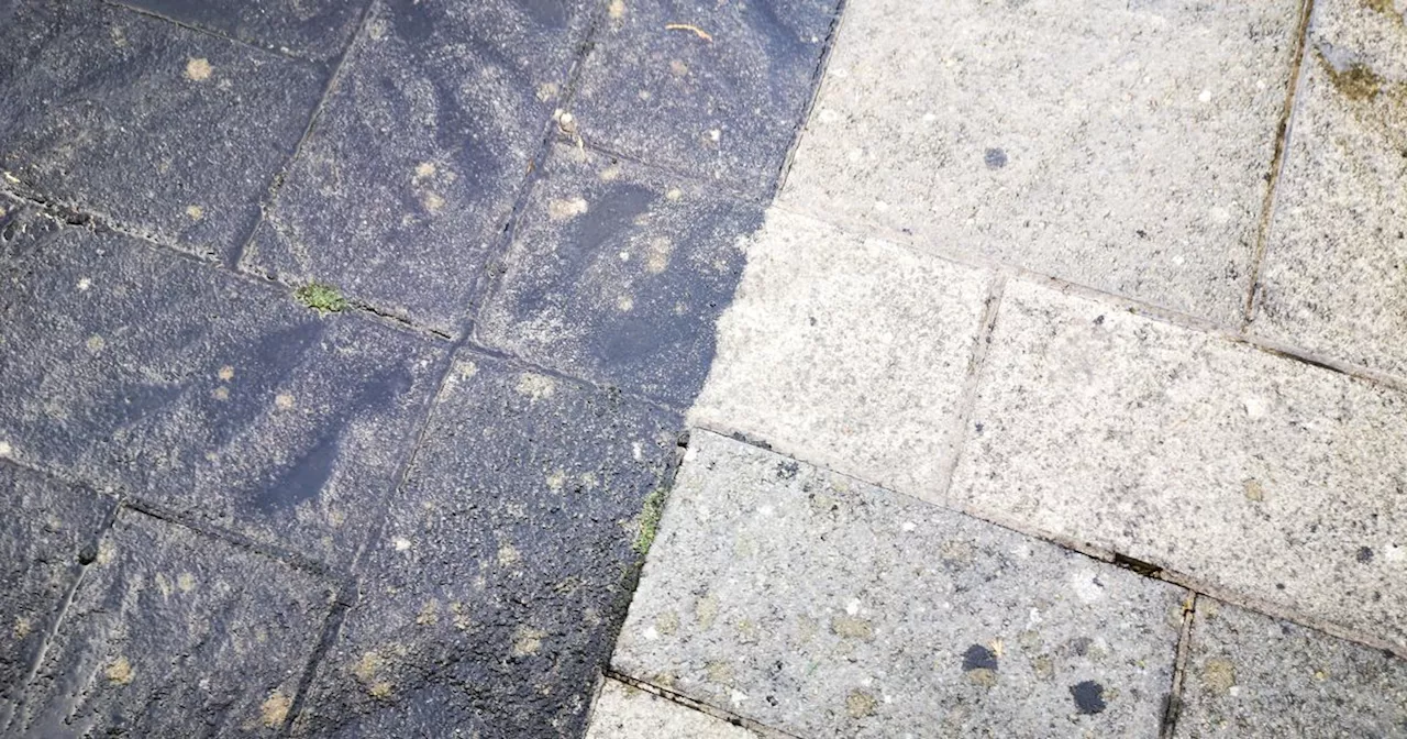 Discover 'magic' 10-minute solution to remove stubborn algae spots from patios