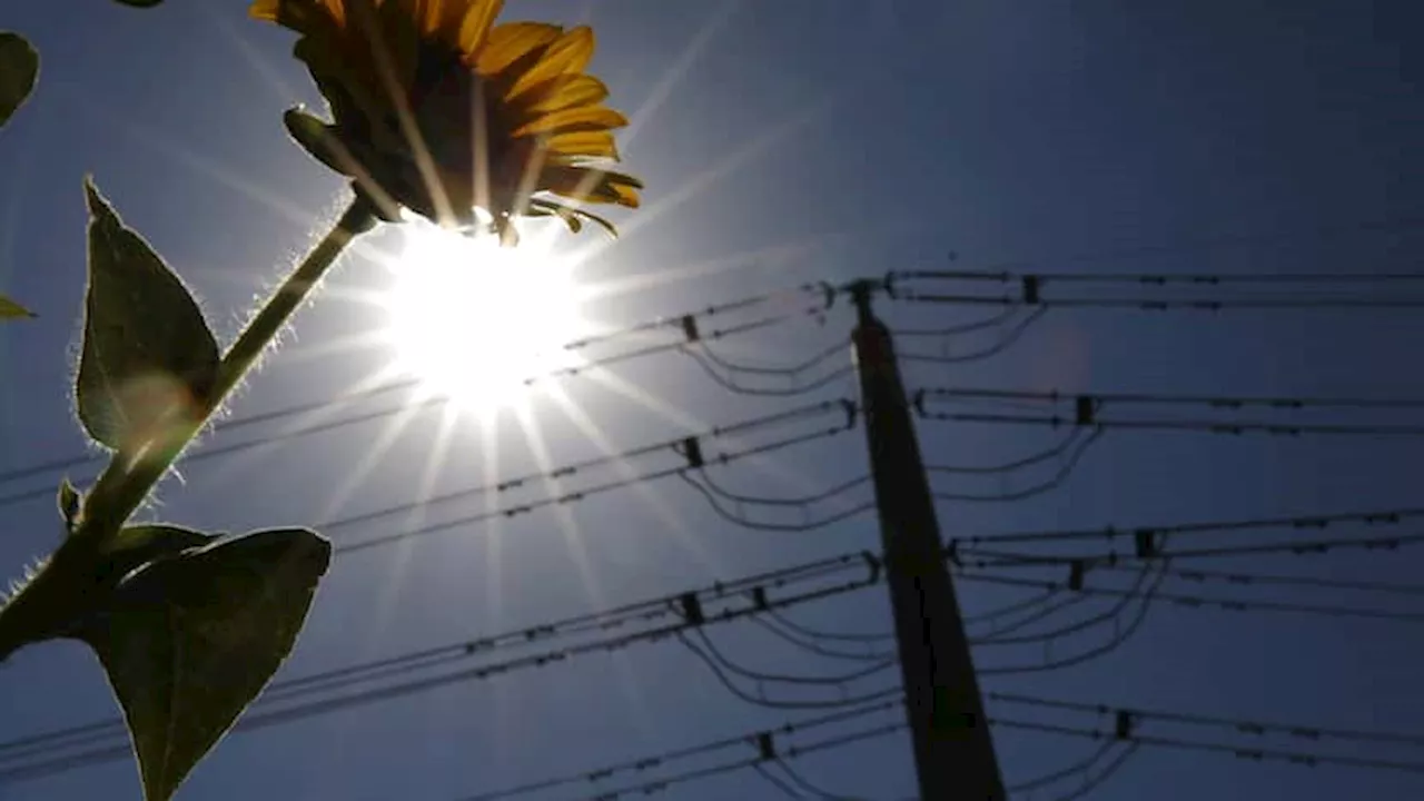 ERCOT predicts 16% chance of a grid emergency in August