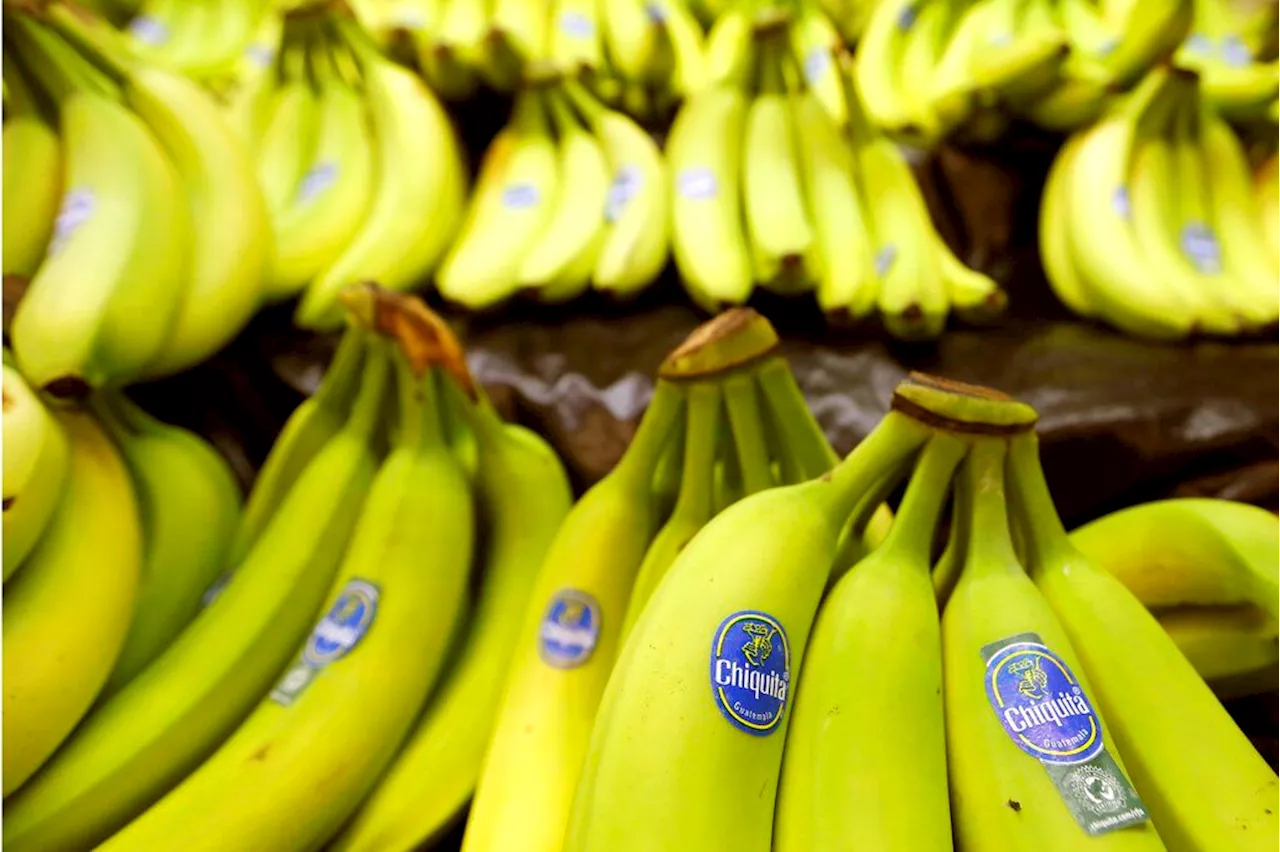 Banana group Chiquita liable in death of eight men, ordered to pay $38.3 million