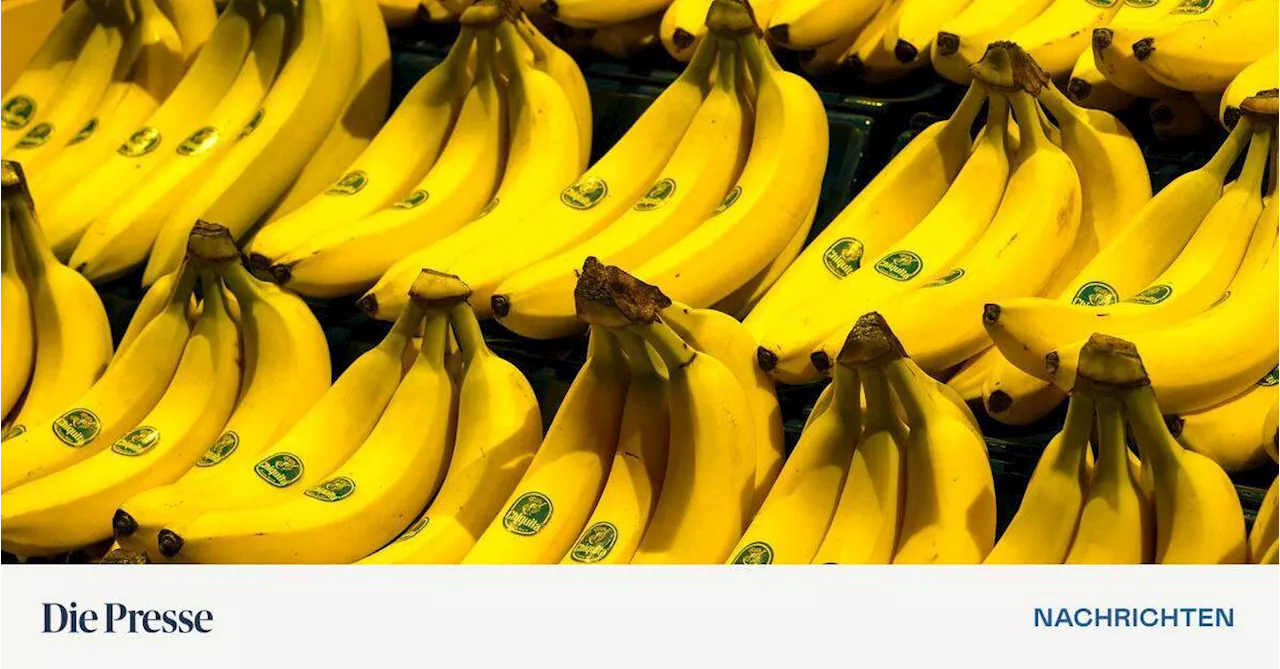 Paramilitärs unterstützt: Chiquita muss Schadenersatz in Millionenhöhe zahlen