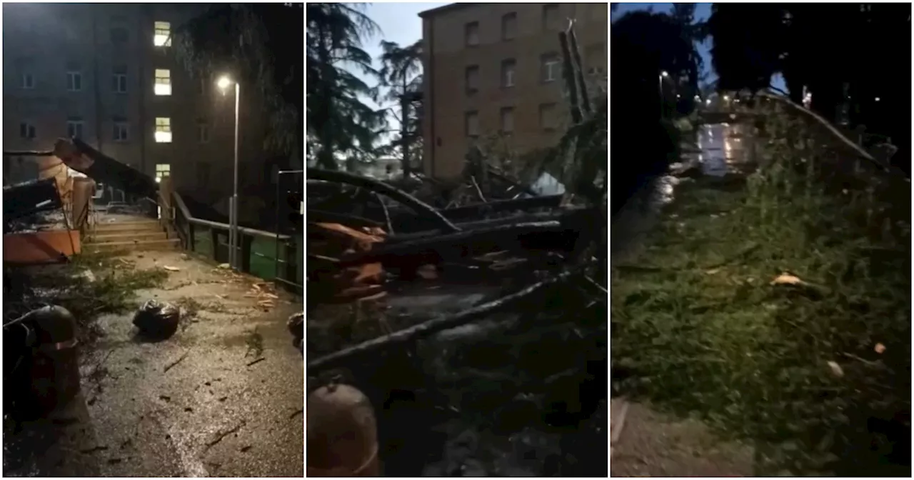 Tromba d’aria a Udine, strade allagate e alberi sradicati: nel video i danni nella zona…