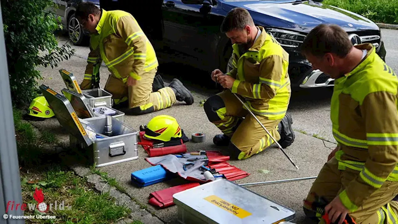 Bayern: Feuerwehr befreit drei Hunde und eine Katze → Auto hatte sich selbstständig verschlossen