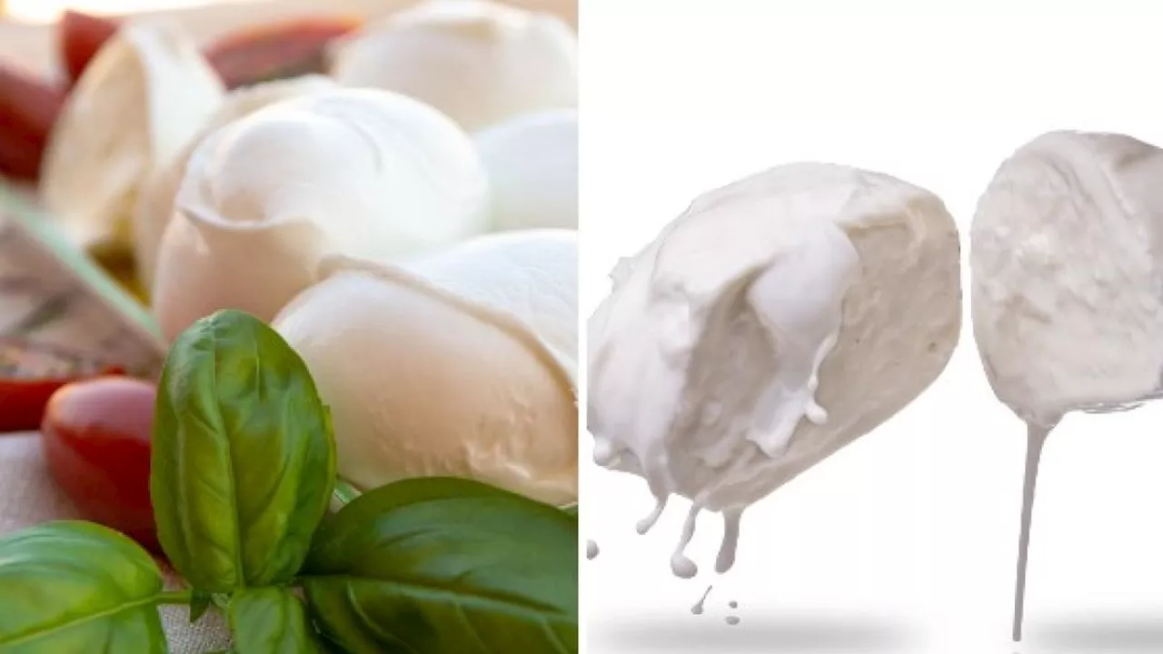 Mozzarella di Bufala, un'eccellenza italiana: quanta se ne può mangiare?