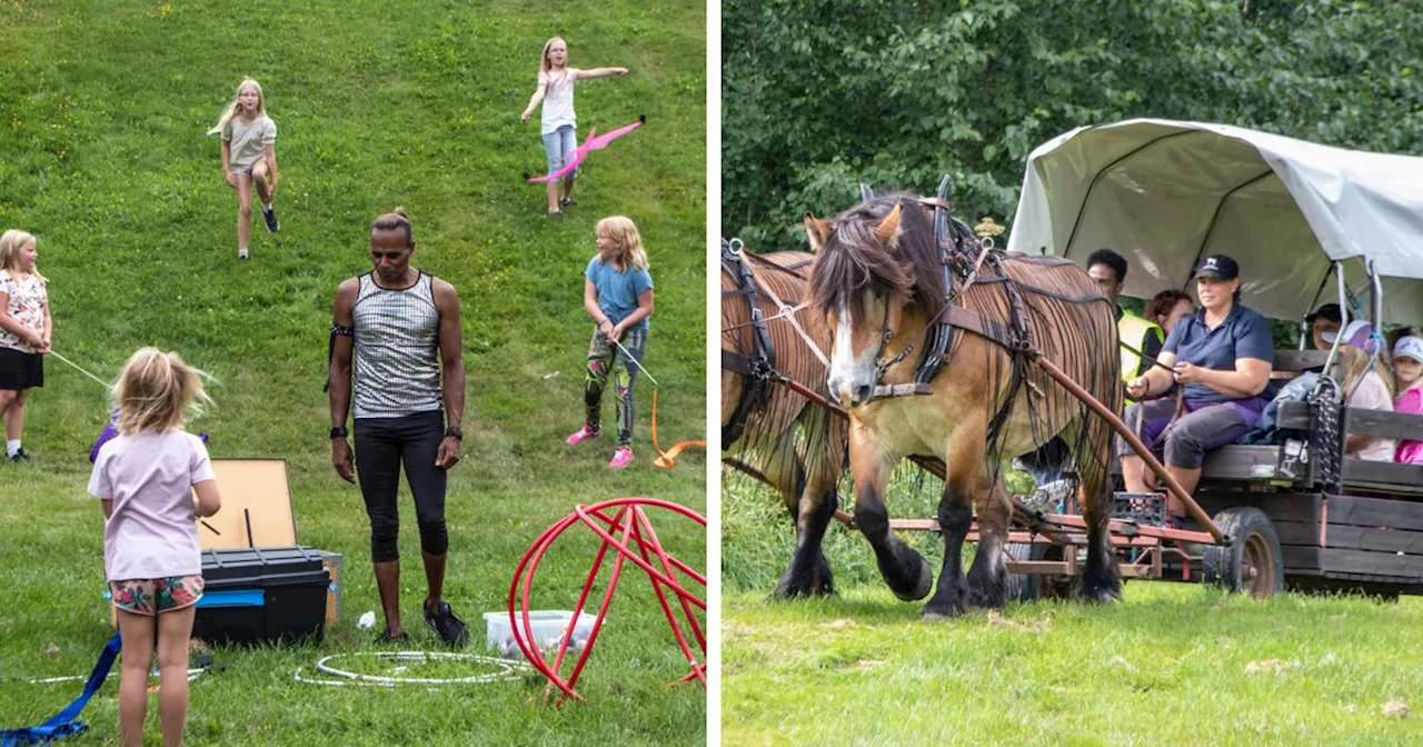 Lista: Det här kan barnen göra i Gävle i sommar