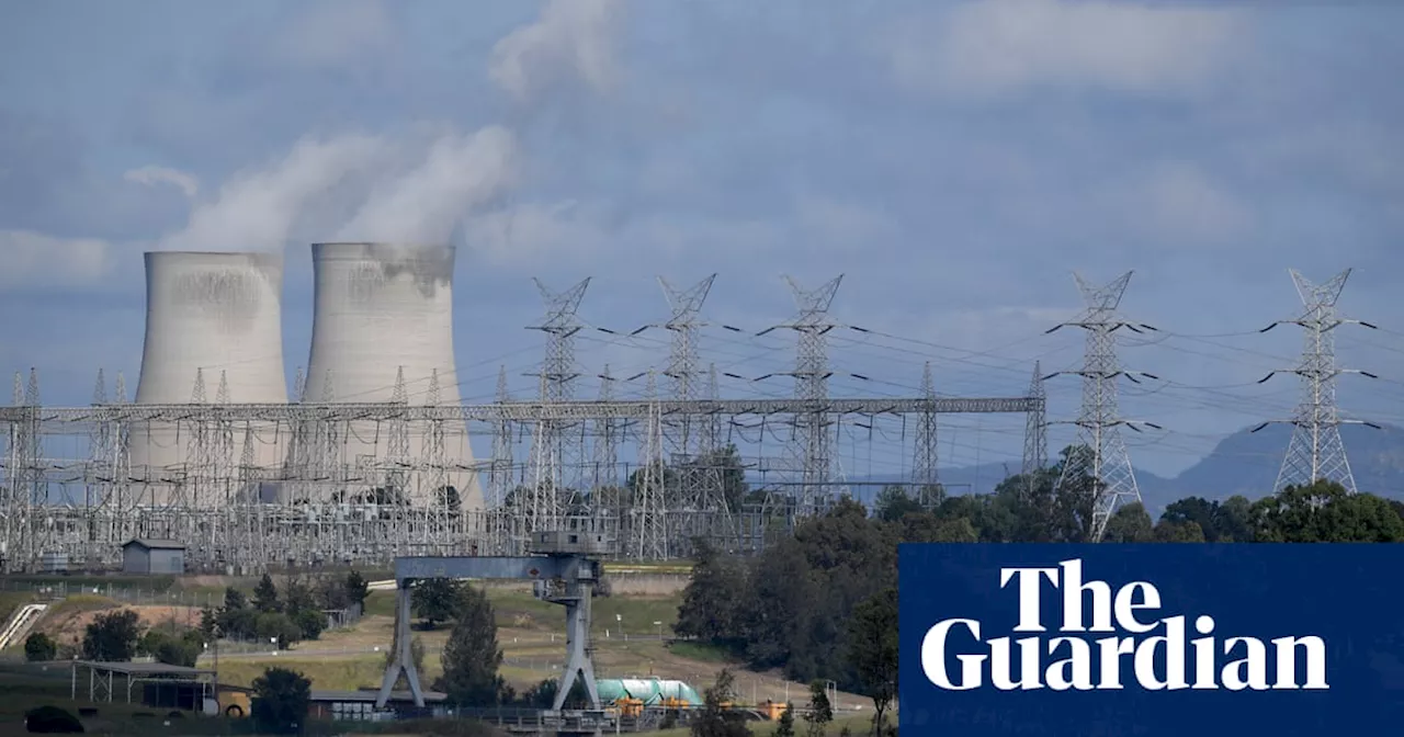 Australia’s power and gas companies want Coalition to retain Labor’s 2030 climate target