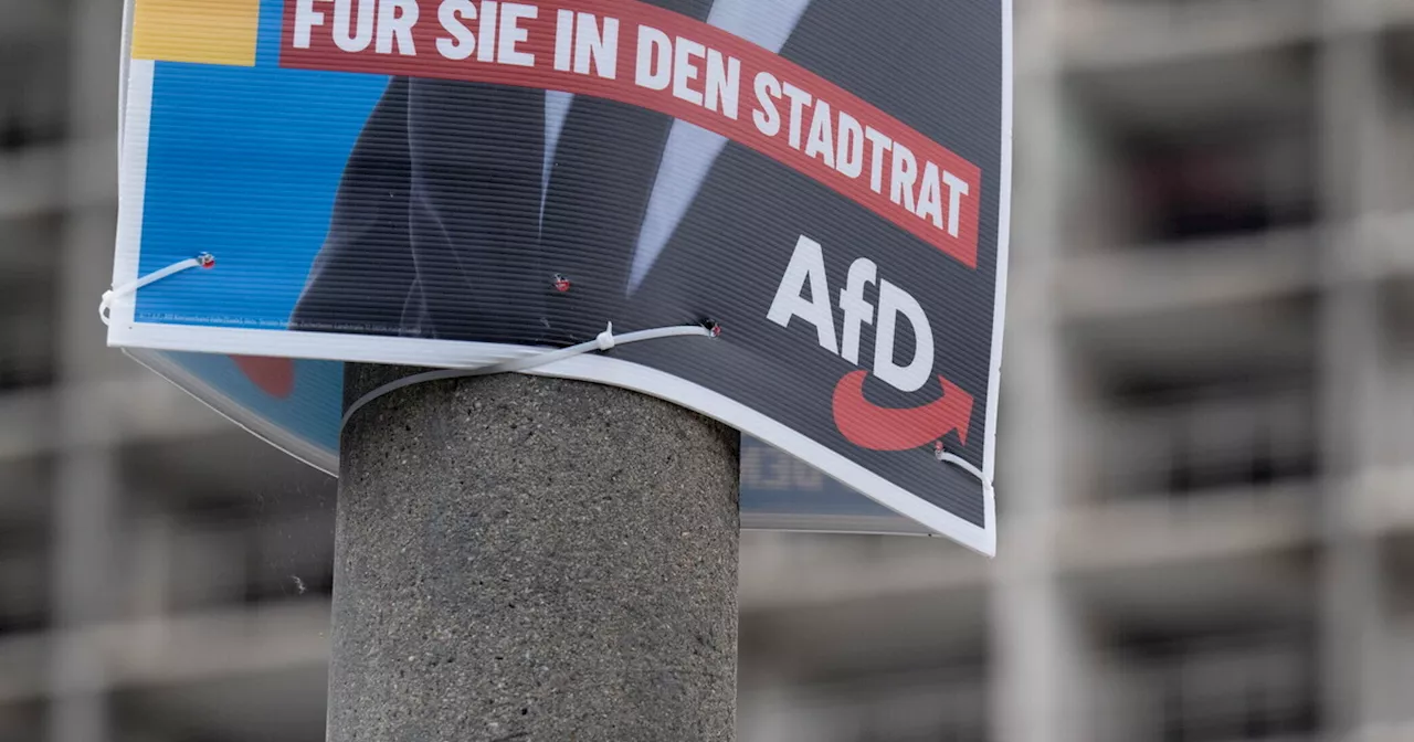 Più che un partito, un movimento. Così l'AfD s'è fatta largo in Germania