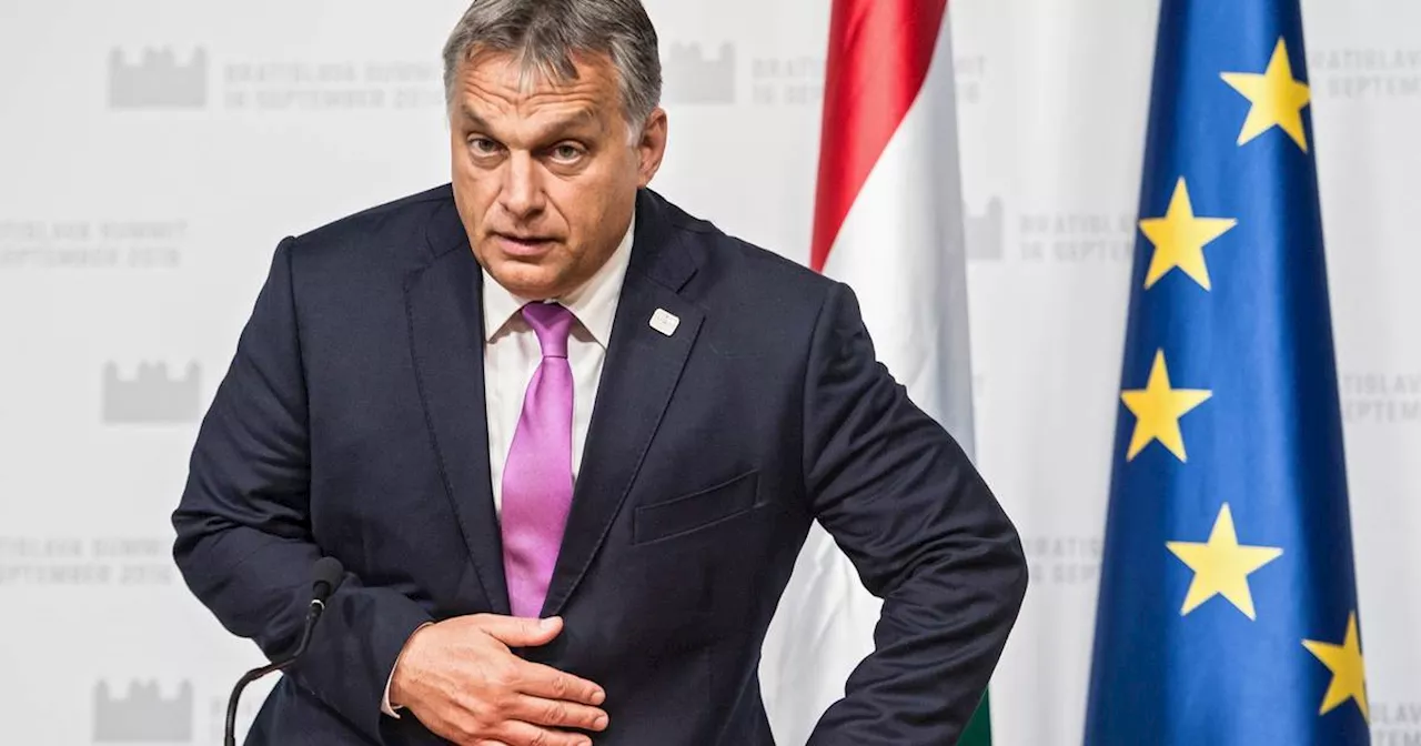 Orban backs idea of united hard-right group in next European Parliament