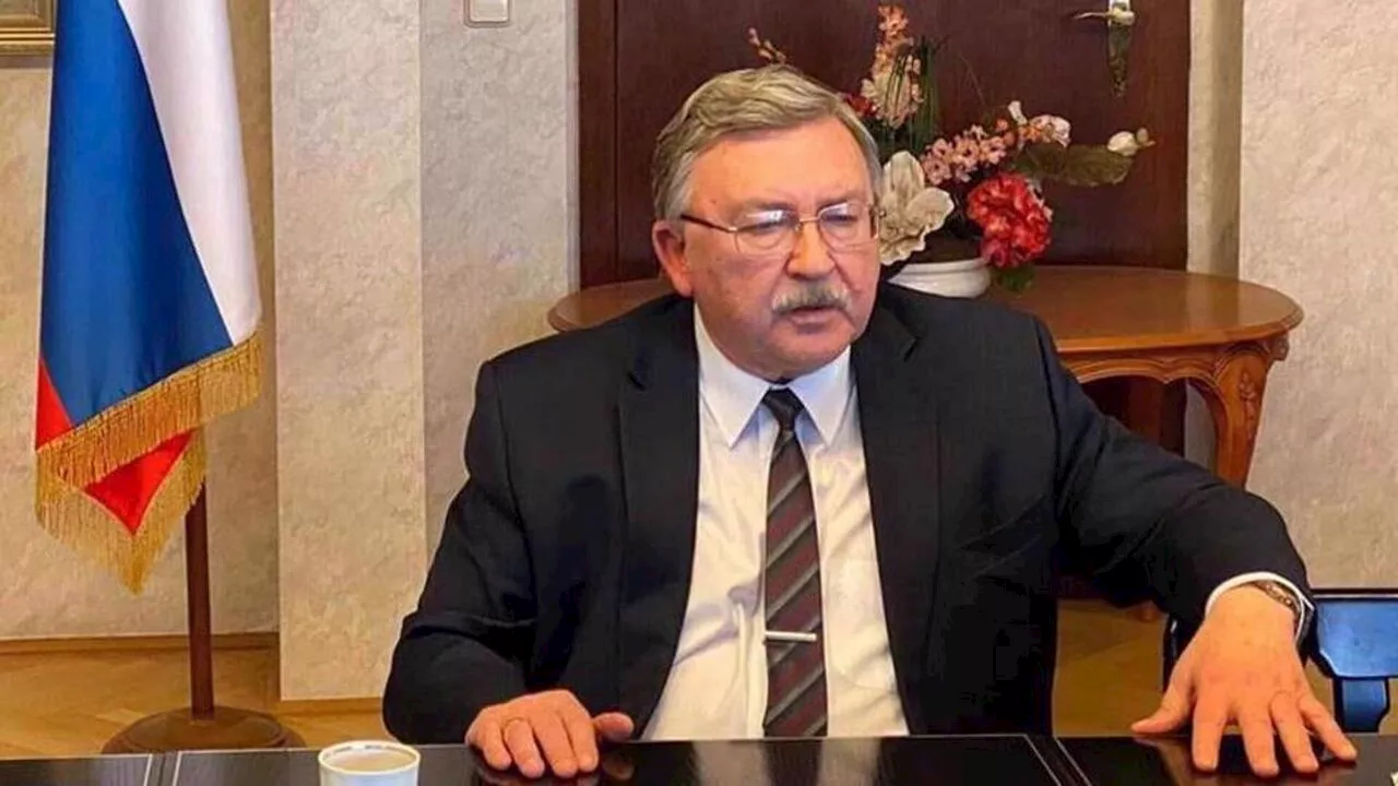 اولیانوف: بیشترین سطوح بازرسی‌ آژانس در ایران صورت می‌گیرد/ فقدان منطق قطعنامه تروئیکا