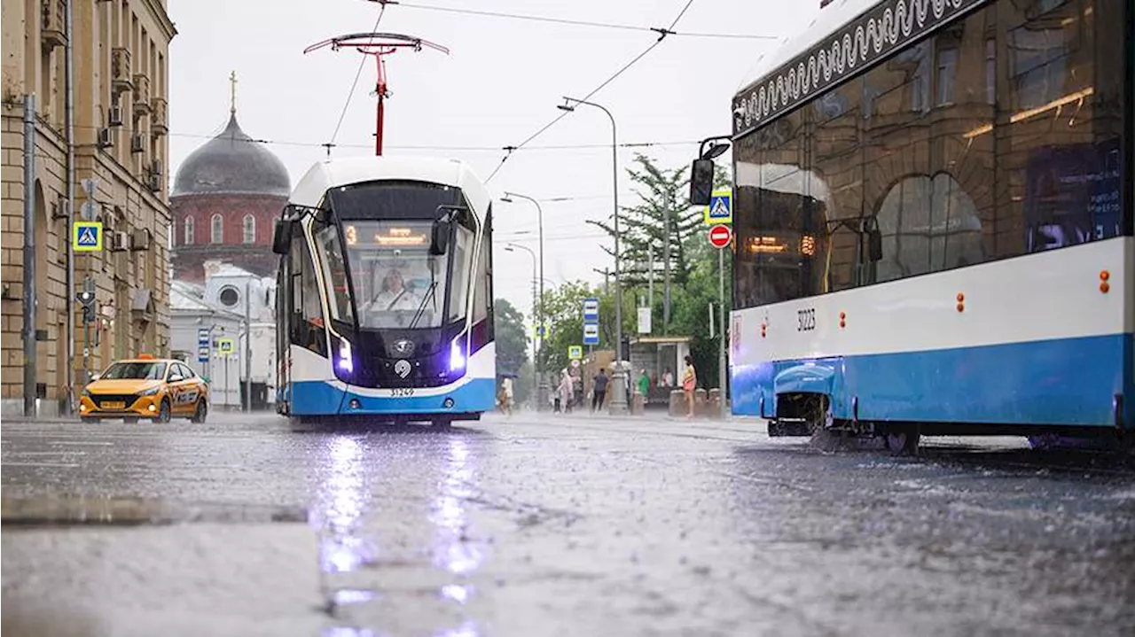 До 20% месячной нормы осадков выпало в Москве в ночь на 11 июня