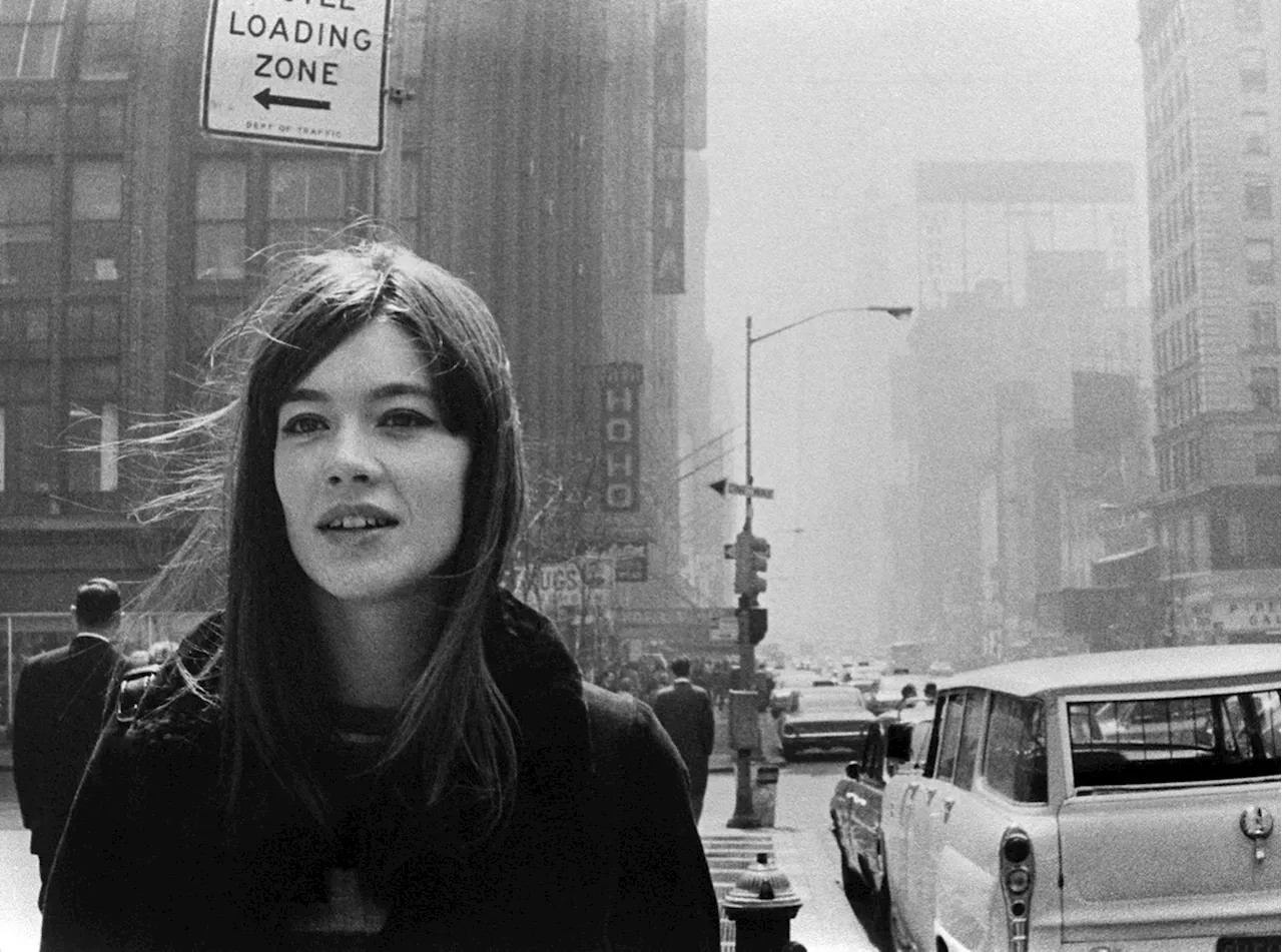 Morre a cantora francesa Françoise Hardy aos 80 anos