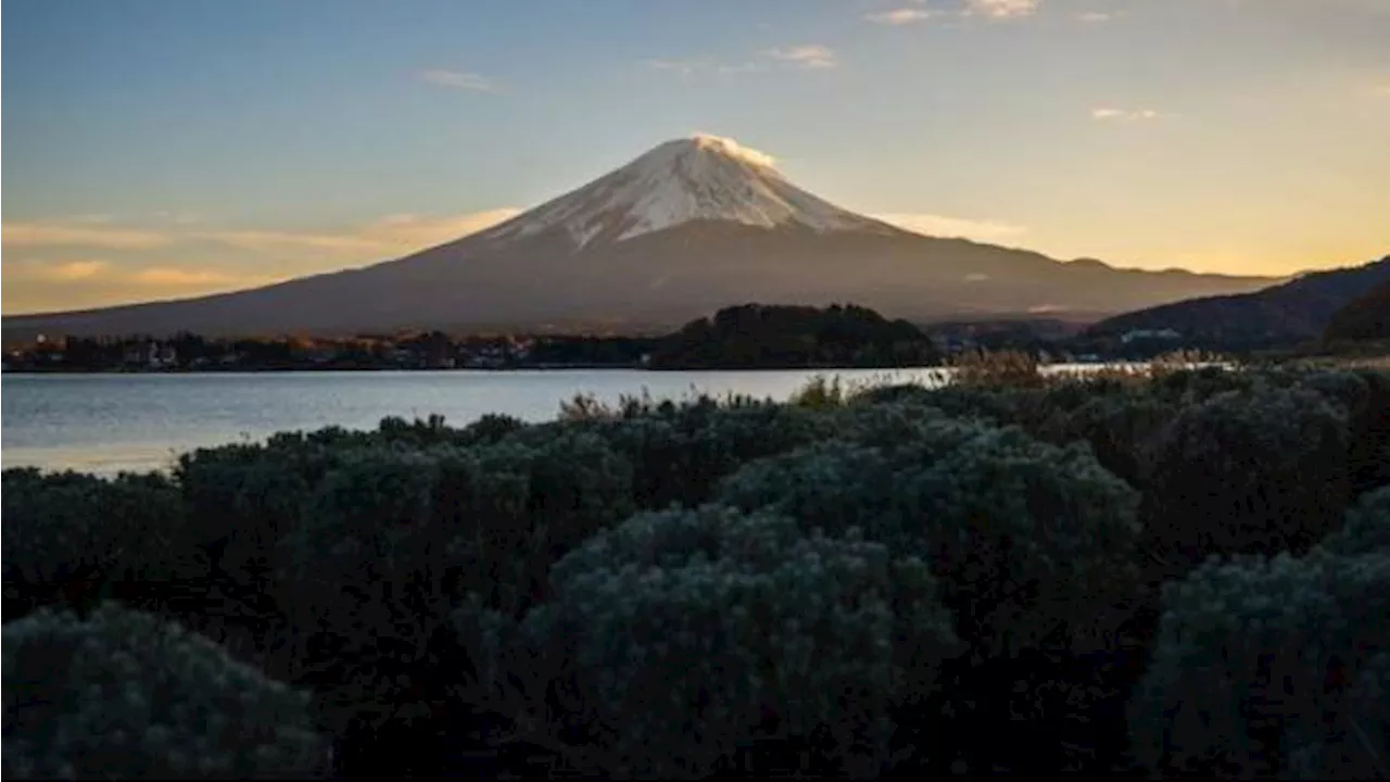 Pemerintah Jepang akan Hancurkan Kondominium 10 Lantai, Alasannya Halangi Pemandangan Gunung Fuji