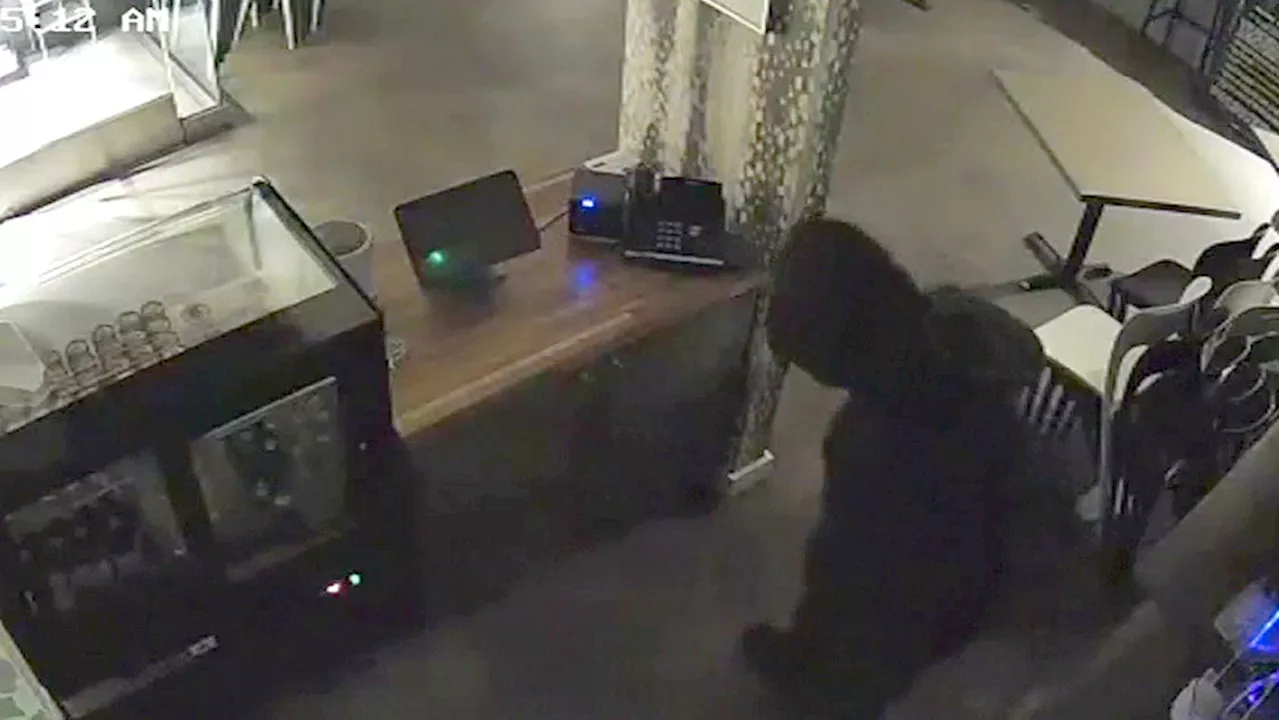 Thief caught on camera stealing cash, kitchen knives at Millcreek breakfast restaurant