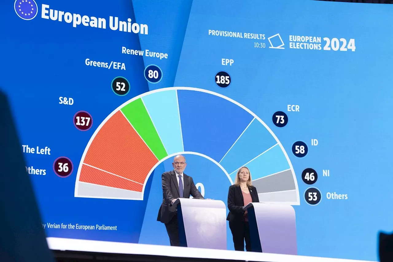 Européennes 2024 : à Bruxelles, le printemps maussade des Verts