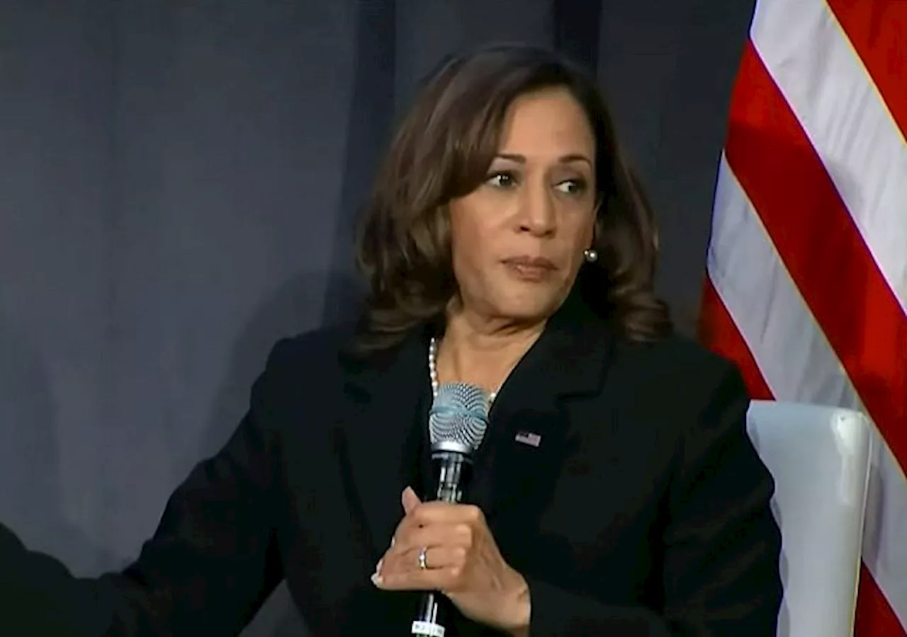 Kamala Harris Mourns Palestinians Killed During Israeli Rescue of Hostages