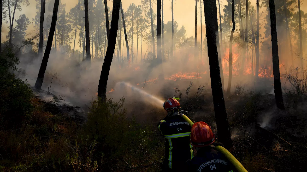 Dans le Var, un violent incendie mobilise des dizaines de pompiers