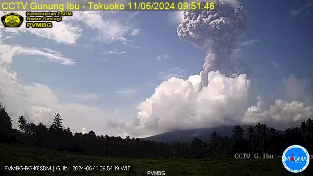 Gunung Ibu Kembali Erupsi Dahsyat, Semburan Abu Vulkanik Capai 4.000 Meter