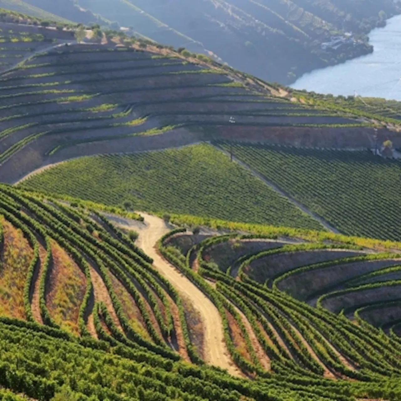 Portugal is launching the world's longest circular walking route