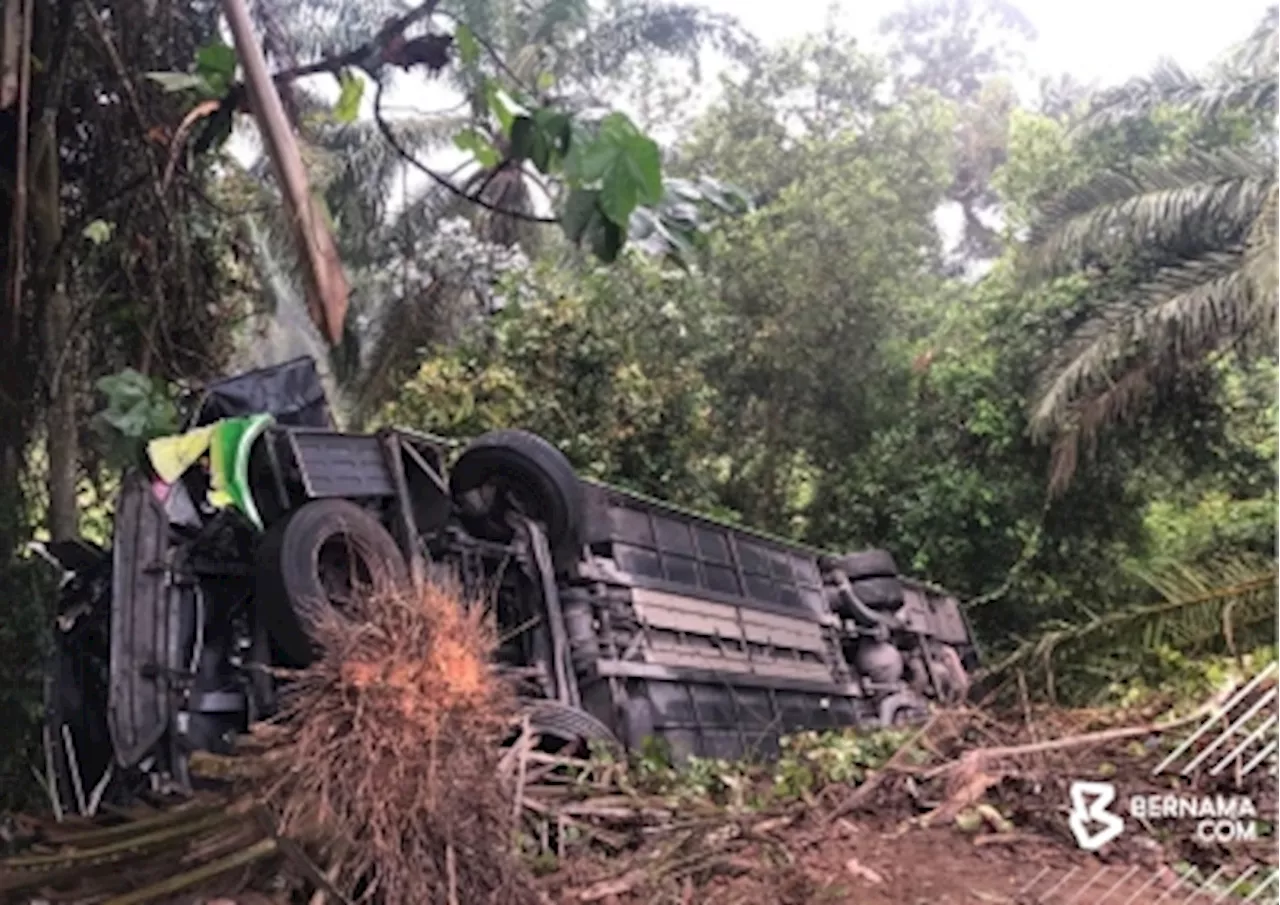 Rompin bus-trailer crash: Land Public Transport Agency says awaiting complete report before action is taken