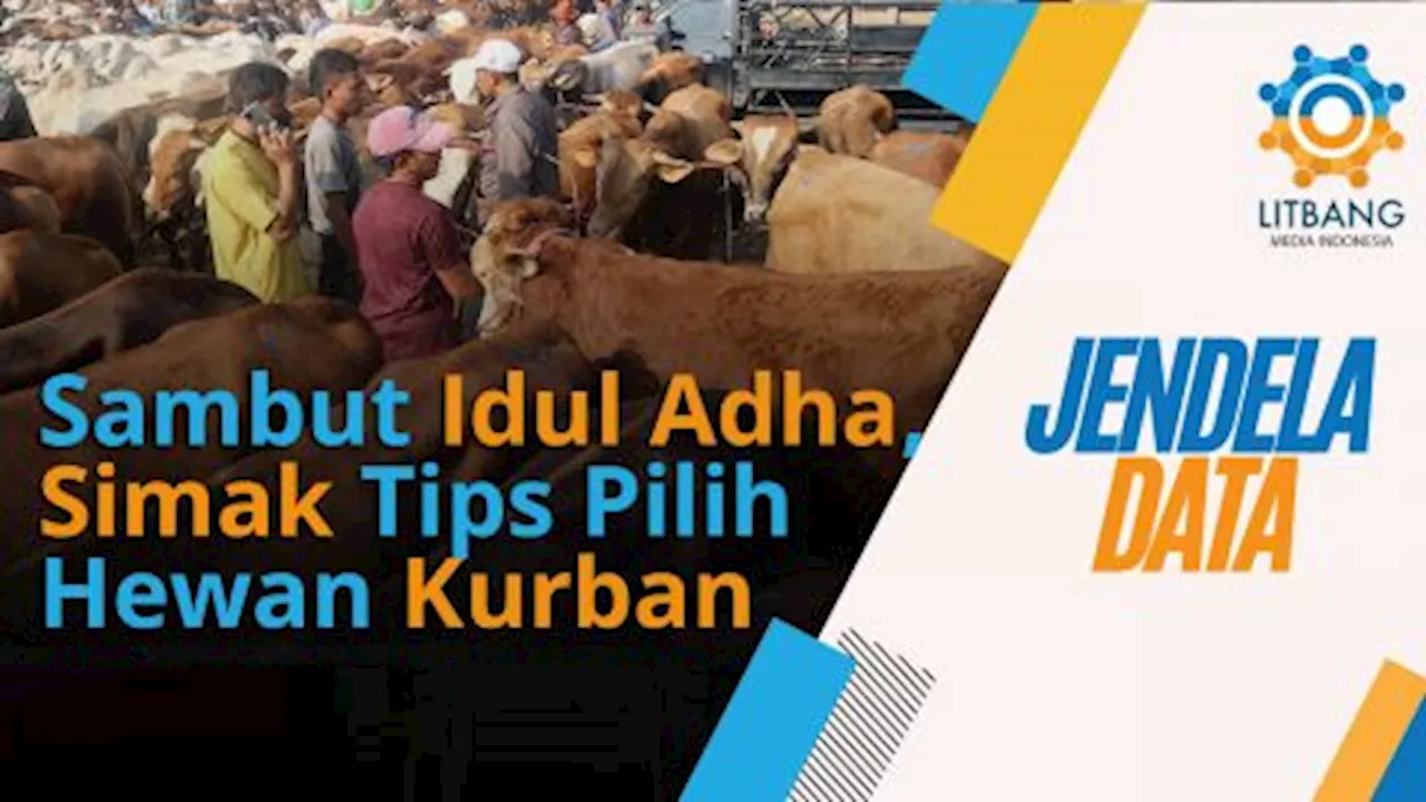 Wajib Tahu, Tips Memilih Hewan Kurban Idul Adha