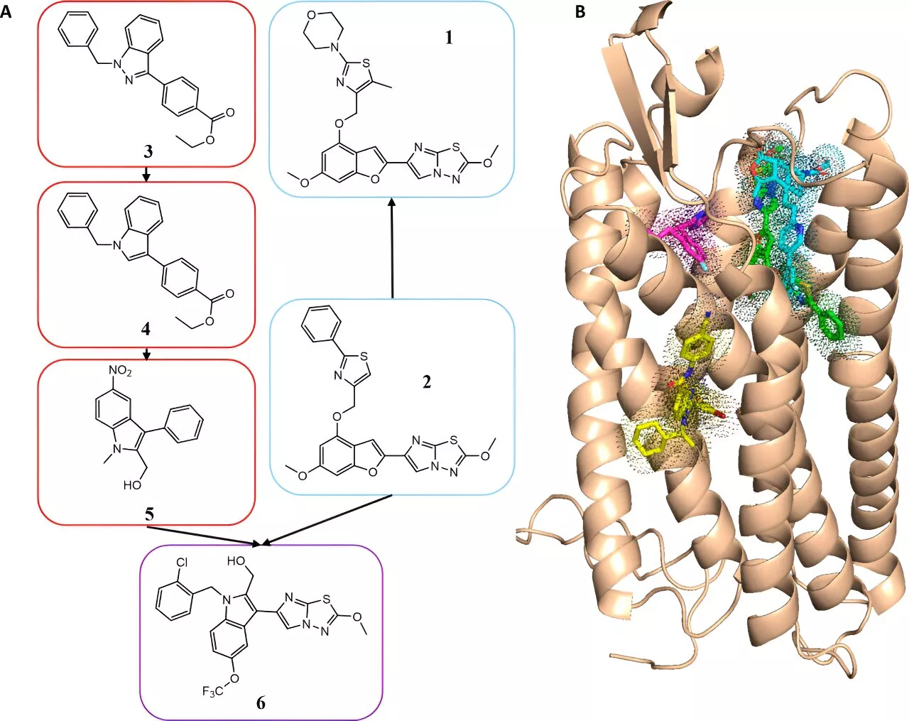 New drug candidates targeting blood clots developed through computer-aided drug design