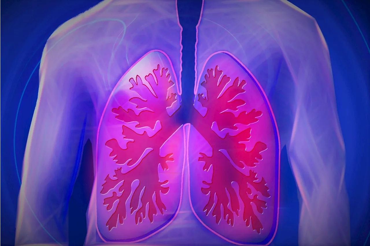 New insights on polymicrobial infections in chronic lung diseases