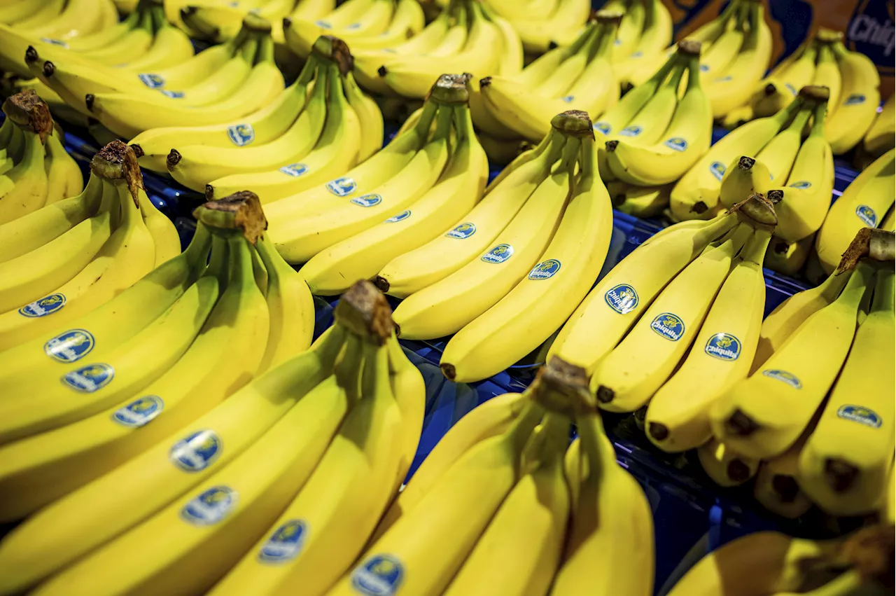 Banana Giant Found Liable for Financing Terror Group