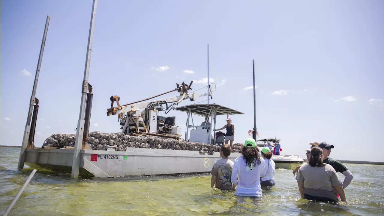 Biden-Harris Administration invests $60 million to build a climate-ready workforce through Investing in America agenda