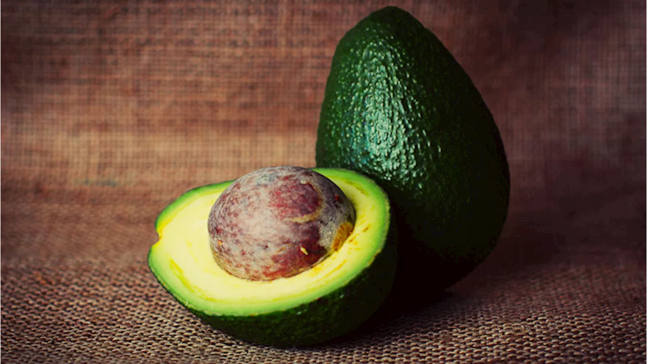 Nell’avocado il segreto per un cervello sempre giovane