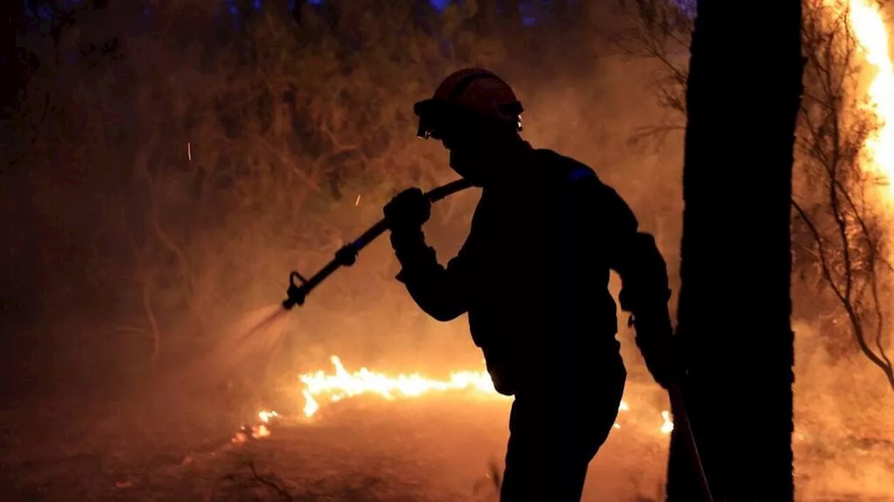 Premier gros incendie dans le sud de la France, 600 hectares brûlés